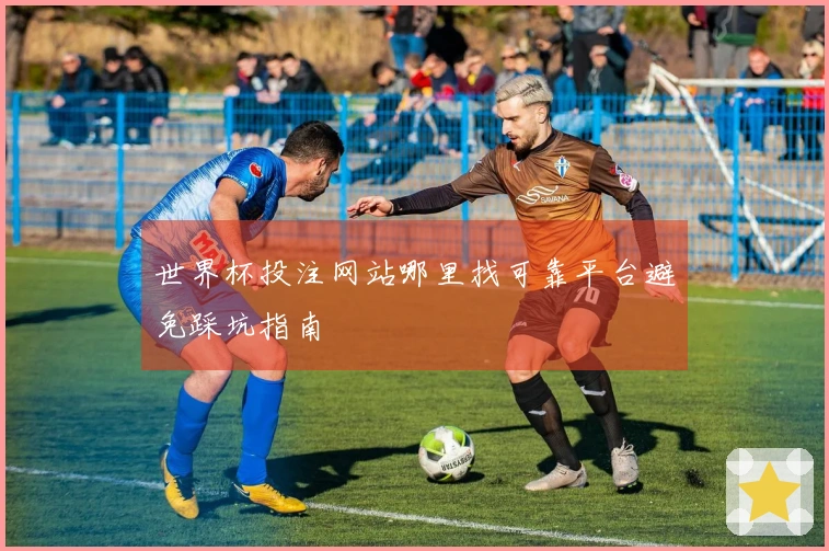 世界杯投注网站哪里找可靠平台避免踩坑指南