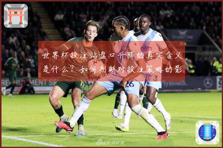 世界杯投注站盘口升降的真实含义是什么？如何判断对投注策略的影响？