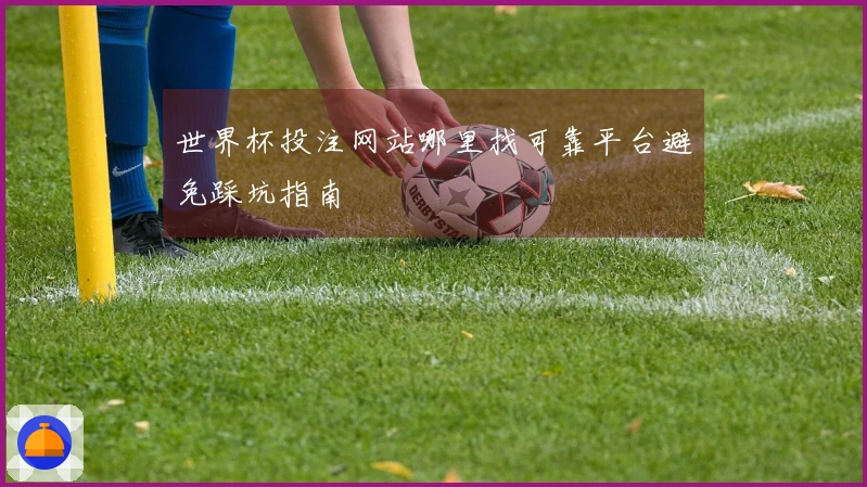 世界杯投注网站哪里找可靠平台避免踩坑指南