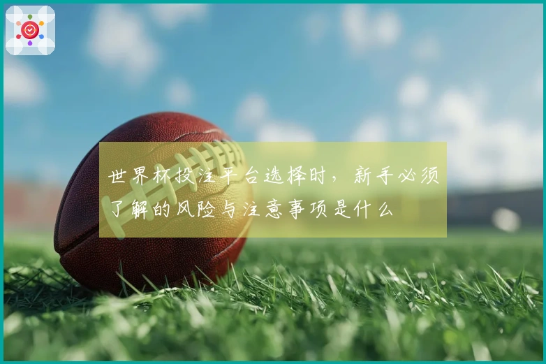世界杯投注平台选择时，新手必须了解的风险与注意事项是什么