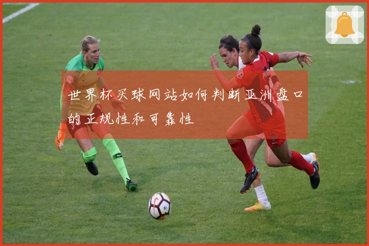 世界杯买球网站如何判断亚洲盘口的正规性和可靠性