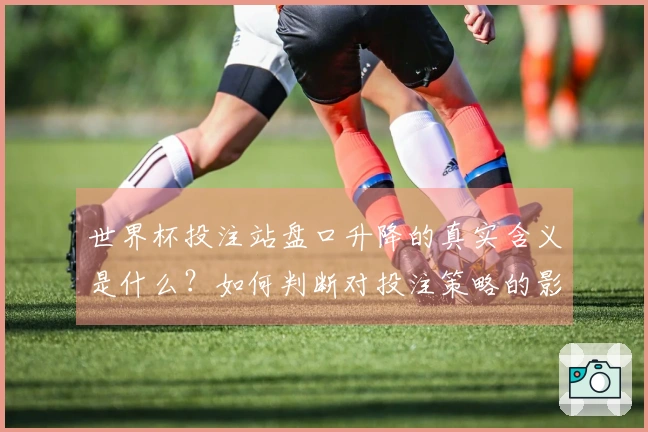 世界杯投注站盘口升降的真实含义是什么？如何判断对投注策略的影响？